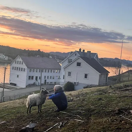 Haraldseidvågen Gjestgjevarstad Skjold (Rogaland)