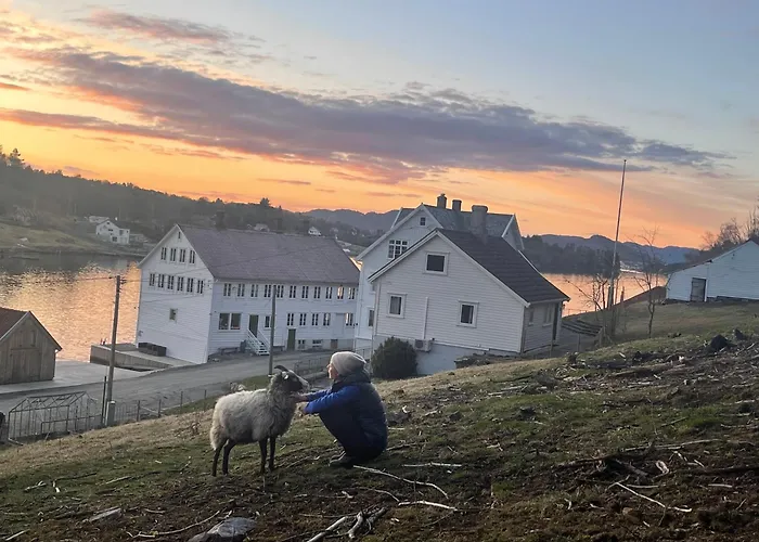 Haraldseidvagen Gjestgjevarstad Skjold (Rogaland)